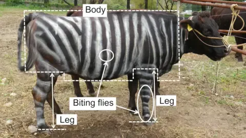 Striped Cattle and Slippery Edibles Claim Humorous Academic Prizes
